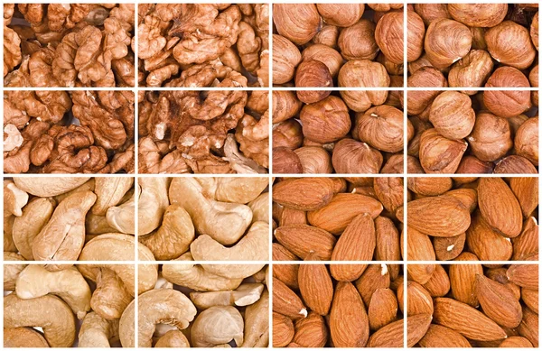Some kinds of nuts fragments a collage — Stock Photo, Image