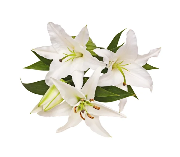 Bouquet from lilies, a flower — Stock Photo, Image