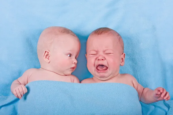 Dois bebês doces - um olhando, um chorando — Fotografia de Stock