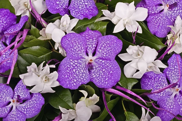 Bright beautiful bouquet close up — Stock Photo, Image