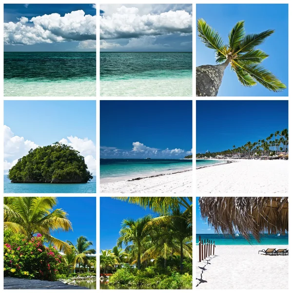 Bellissimo collage stile di vita tropicale — Foto Stock