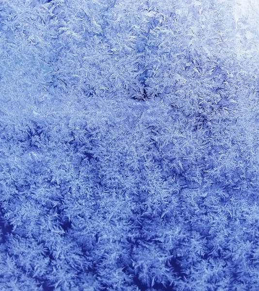 Frosty patroon — Stockfoto