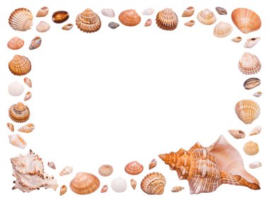 çerçeve üzerinde beyaz izole cockleshell ile