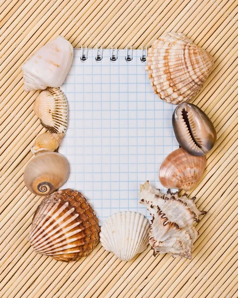 Notebook and cockleshell with an empty place for your text — Stock Photo, Image