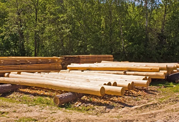 Logs against wood — Stock Photo, Image