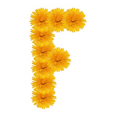 Beyaz parlak karahindiba harf f