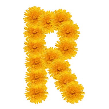 Beyaz parlak karahindiba harf r