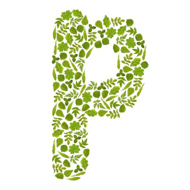 yapraklar yeşil harf p