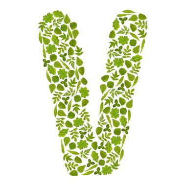 harf v dan yeşil yapraklar