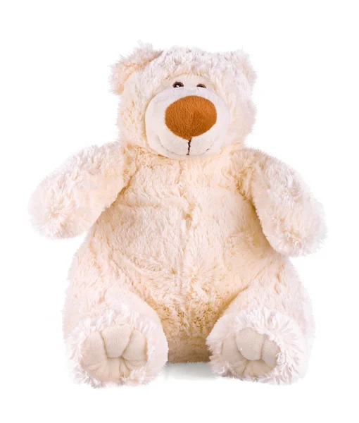Teddybär auf dem weißen — Stockfoto