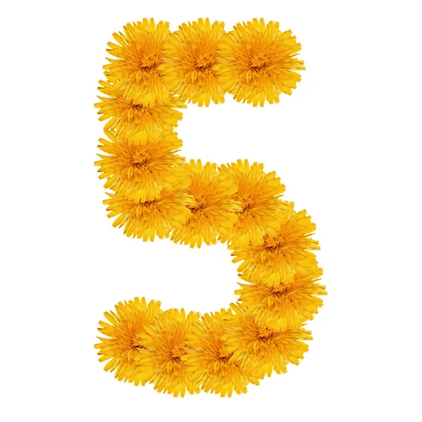 FIVE from bright dandelion on the white — Stock Photo, Image