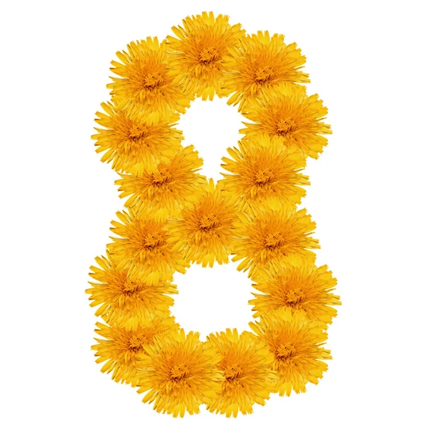 EIGHT from bright dandelion on the white — Stock Photo, Image