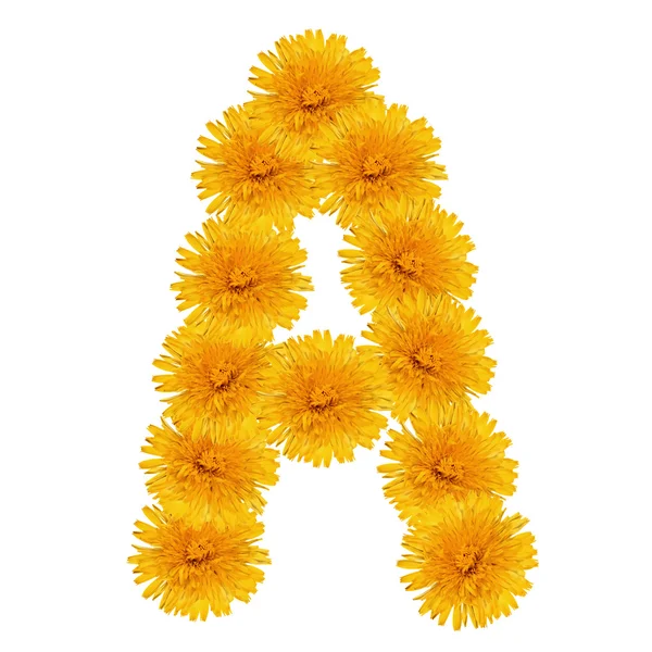 Letter A from bright dandelion — Stock Photo, Image