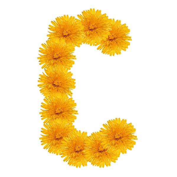 Letter C from bright dandelion on the white — Stock Photo, Image