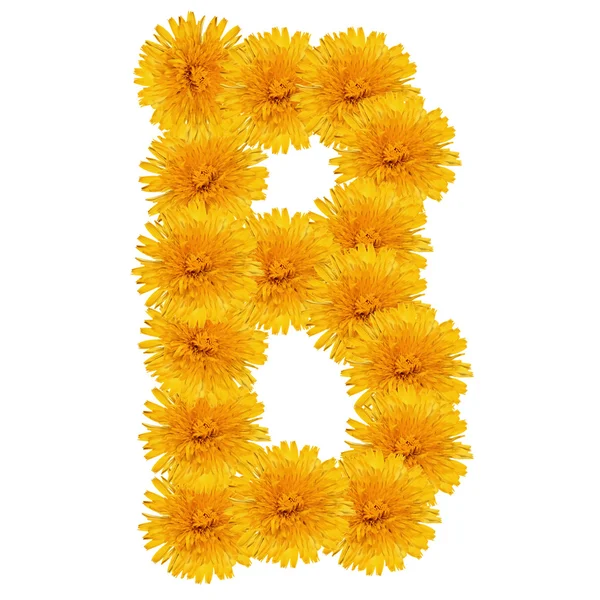 Letter B from bright dandelion on the white — Stock Photo, Image