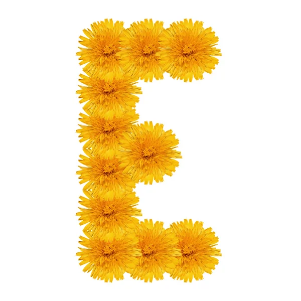 Letter E from bright dandelion on the white — Stock Photo, Image