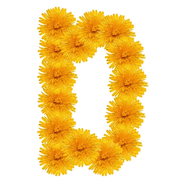 Letter D from bright dandelion on the white — Stock Photo, Image