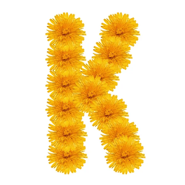 Letter K from bright dandelion on the white — Stock Photo, Image