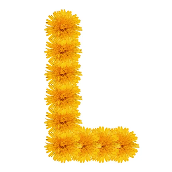 Letter L from bright dandelion on the white — Stock Photo, Image
