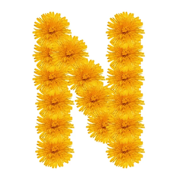 Letter N from bright dandelion on the white — Stock Photo, Image
