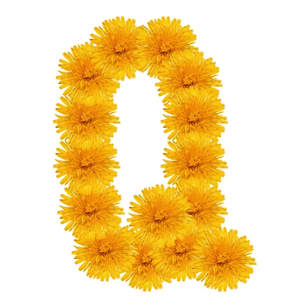 Letter Q from bright dandelion on the white — Stock Photo, Image