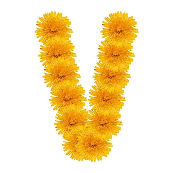 Letter V from bright dandelion on the white — Stock Photo, Image