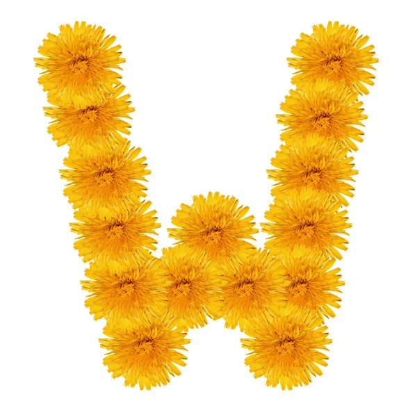 Letter W from bright dandelion on the white — Stock Photo, Image