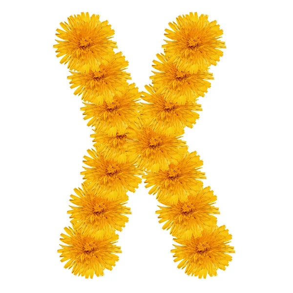 Letter X from bright dandelion on the white — Stock Photo, Image