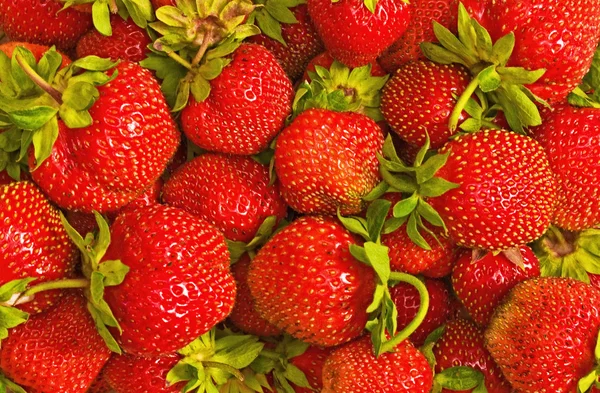 Background from a strawberry — Stock Photo, Image