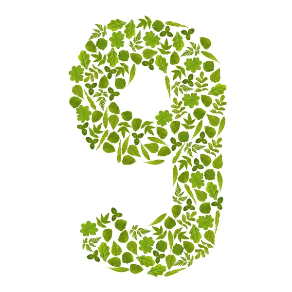 Nummer neun aus grünen Blättern — Stockfoto