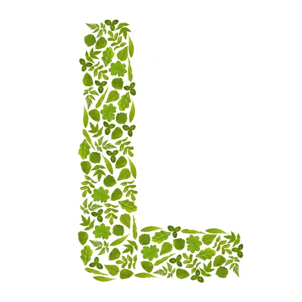 Буква L от зеленого лефа — стоковое фото