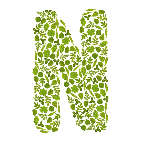 Letter N from green leafs — Stock Photo, Image