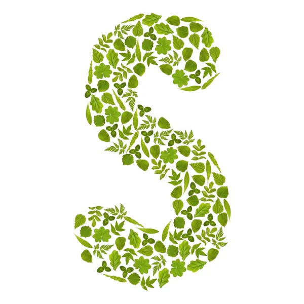 Буква S из зеленых листьев — стоковое фото