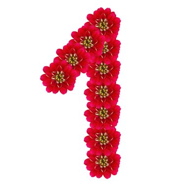 bir kırmızı çiçekler