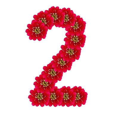 iki kırmızı çiçekler