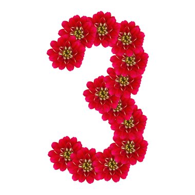 üç kırmızı çiçekler