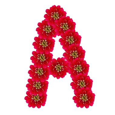 mektup bir gelen kırmızı çiçekler