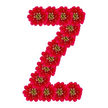 Kırmızı çiçekler gelen harf z
