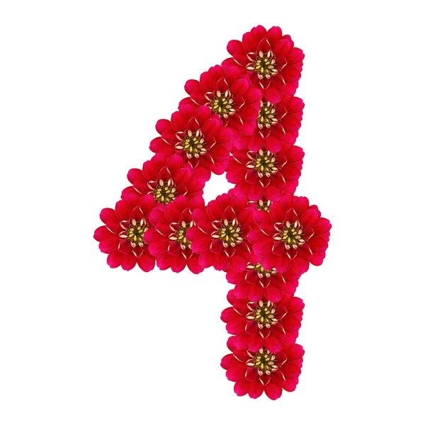 Dört kırmızı çiçekler — Stok fotoğraf