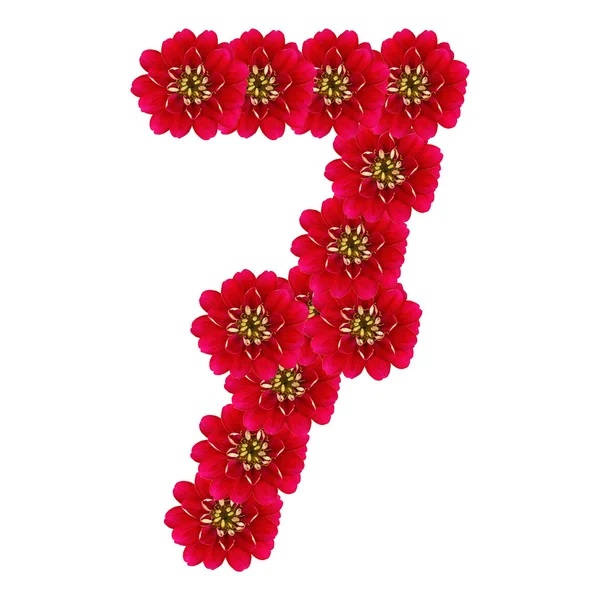 SEVEN from red flowers — Stock Photo, Image