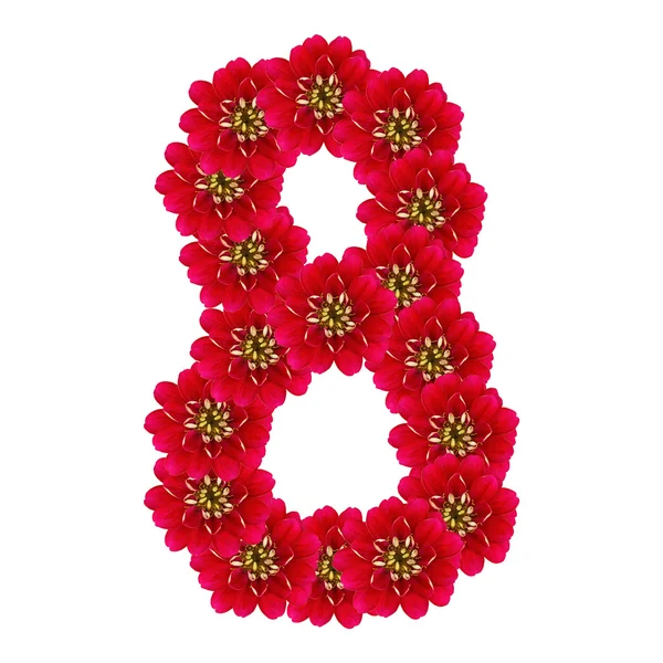 Acht aus roten Blumen — Stockfoto