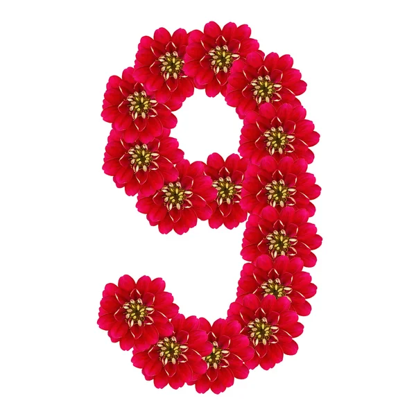 Neun aus roten Blumen — Stockfoto