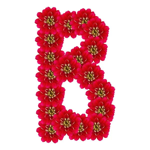 Letter B from red flowers — Stock Photo, Image