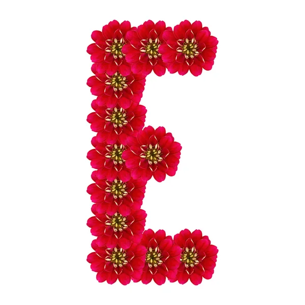 Carta E de flores vermelhas — Fotografia de Stock