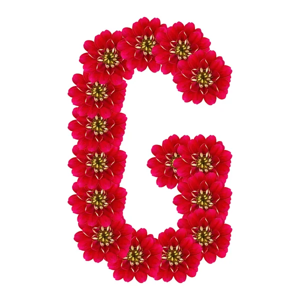 Carta G de flores vermelhas — Fotografia de Stock