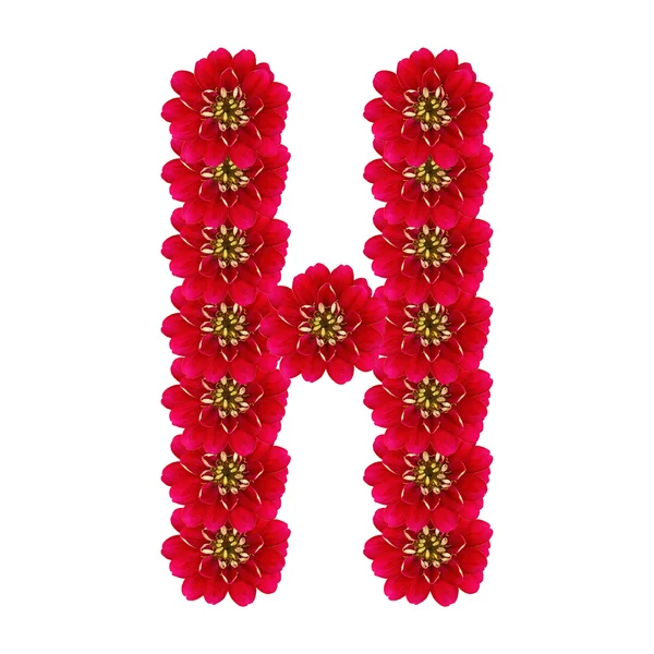 Carta H de flores vermelhas — Fotografia de Stock