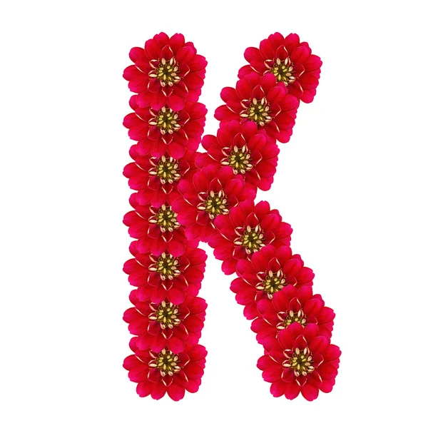 Letter K from red flowers — Stock Photo, Image