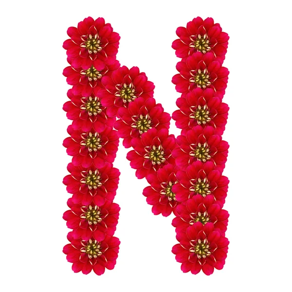 Letter N from red flowers — Stock Photo, Image