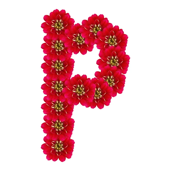 Bokstaven p från röda blommor — Stockfoto