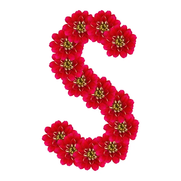 Letter S from red flowers — Stock Photo, Image